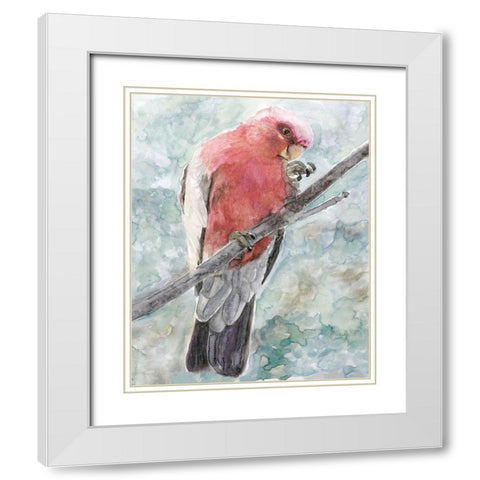 Tropic Parrot I White Modern Wood Framed Art Print with Double Matting by Stellar Design Studio