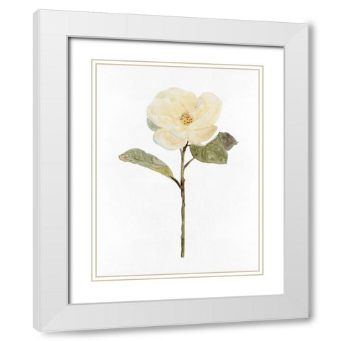 White Blossom II White Modern Wood Framed Art Print with Double Matting by Stellar Design Studio