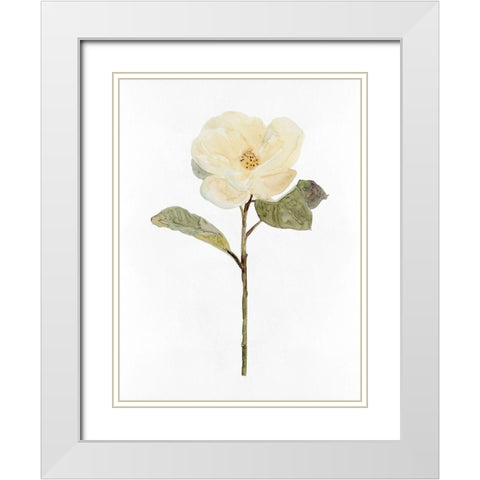 White Blossom II White Modern Wood Framed Art Print with Double Matting by Stellar Design Studio