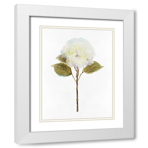 White Blossom III White Modern Wood Framed Art Print with Double Matting by Stellar Design Studio