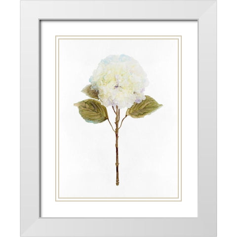 White Blossom III White Modern Wood Framed Art Print with Double Matting by Stellar Design Studio