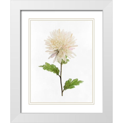 White Blossom IV White Modern Wood Framed Art Print with Double Matting by Stellar Design Studio