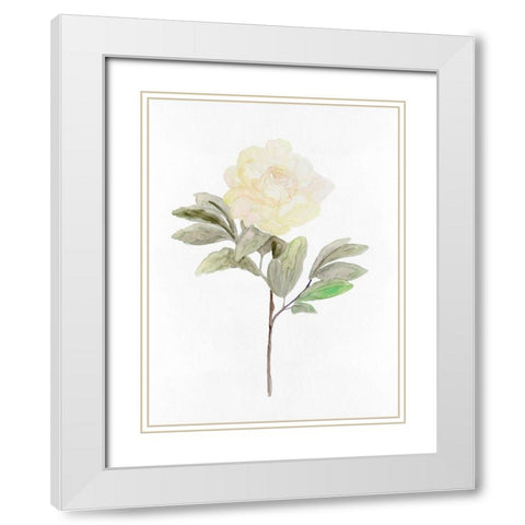 White Blossom V White Modern Wood Framed Art Print with Double Matting by Stellar Design Studio
