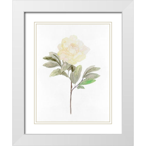 White Blossom V White Modern Wood Framed Art Print with Double Matting by Stellar Design Studio