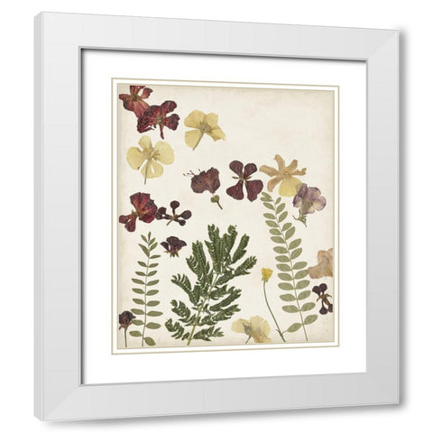 Pressed Flower Arrangement I White Modern Wood Framed Art Print with Double Matting by Moore, Regina