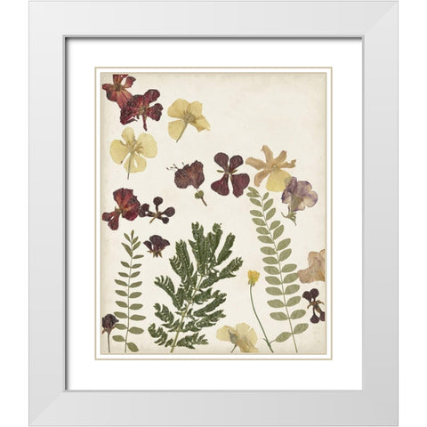 Pressed Flower Arrangement I White Modern Wood Framed Art Print with Double Matting by Moore, Regina