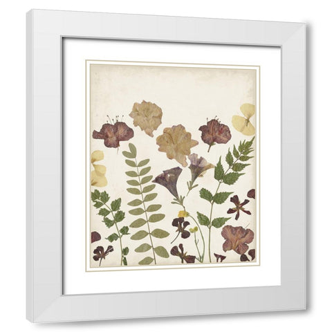 Pressed Flower Arrangement II White Modern Wood Framed Art Print with Double Matting by Moore, Regina