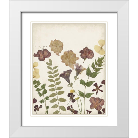 Pressed Flower Arrangement II White Modern Wood Framed Art Print with Double Matting by Moore, Regina