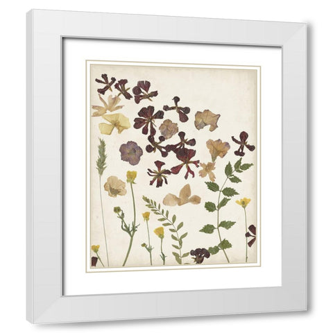 Pressed Flower Arrangement III White Modern Wood Framed Art Print with Double Matting by Moore, Regina