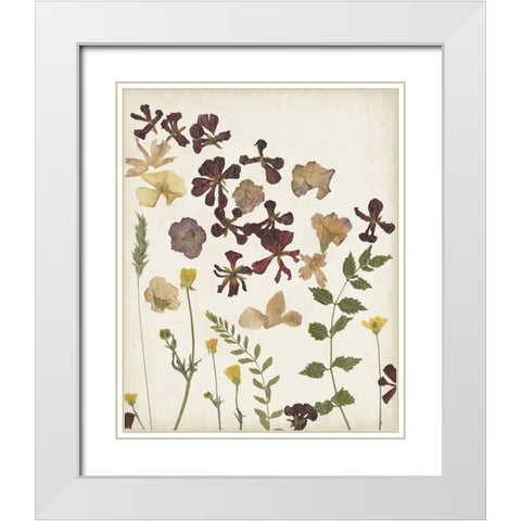 Pressed Flower Arrangement III White Modern Wood Framed Art Print with Double Matting by Moore, Regina