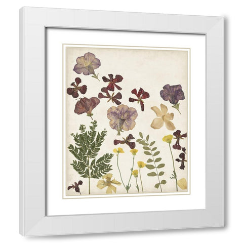 Pressed Flower Arrangement IV White Modern Wood Framed Art Print with Double Matting by Moore, Regina