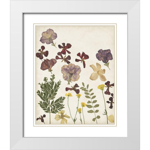 Pressed Flower Arrangement IV White Modern Wood Framed Art Print with Double Matting by Moore, Regina
