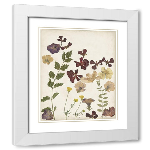 Pressed Flower Arrangement V White Modern Wood Framed Art Print with Double Matting by Moore, Regina