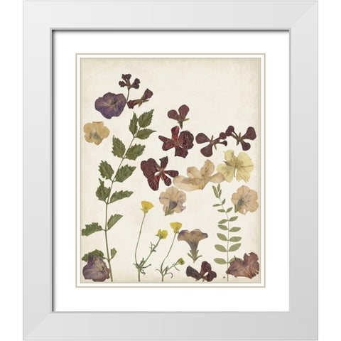 Pressed Flower Arrangement V White Modern Wood Framed Art Print with Double Matting by Moore, Regina