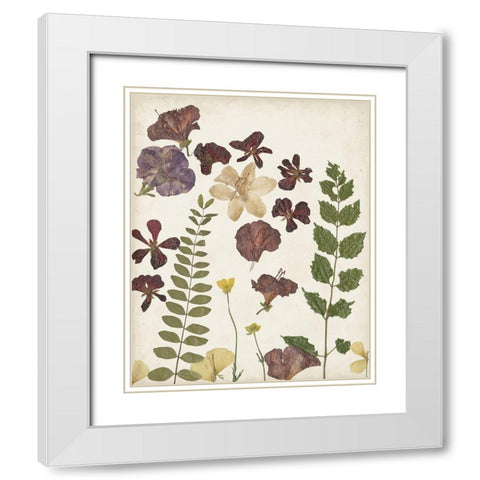 Pressed Flower Arrangement VI White Modern Wood Framed Art Print with Double Matting by Moore, Regina