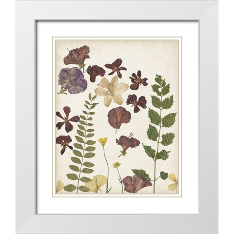 Pressed Flower Arrangement VI White Modern Wood Framed Art Print with Double Matting by Moore, Regina