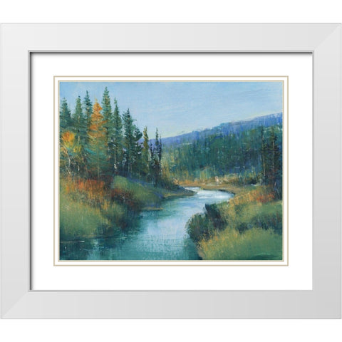 Trout Stream I White Modern Wood Framed Art Print with Double Matting by OToole, Tim