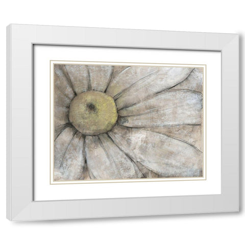 Close-Up Daisy I White Modern Wood Framed Art Print with Double Matting by OToole, Tim