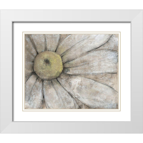 Close-Up Daisy I White Modern Wood Framed Art Print with Double Matting by OToole, Tim