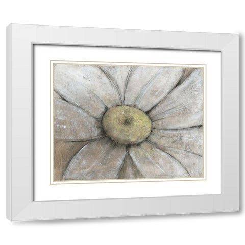 Close-Up Daisy II White Modern Wood Framed Art Print with Double Matting by OToole, Tim