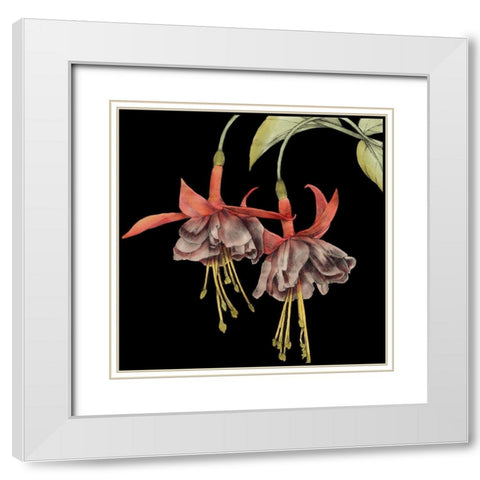 Graphic Fuchsia I White Modern Wood Framed Art Print with Double Matting by Goldberger, Jennifer