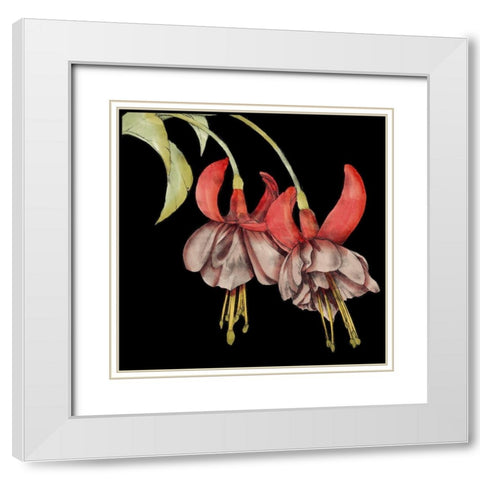 Graphic Fuchsia II White Modern Wood Framed Art Print with Double Matting by Goldberger, Jennifer