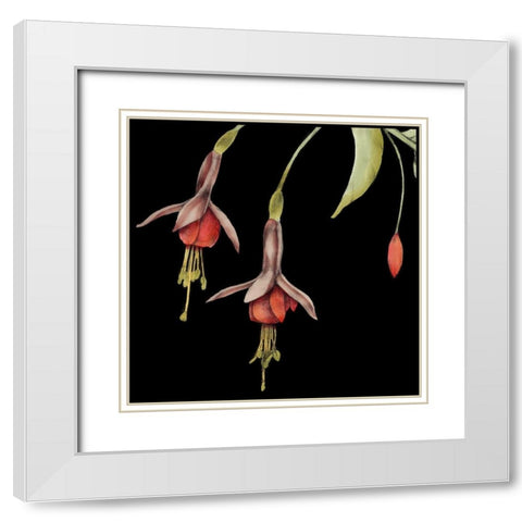 Graphic Fuchsia III White Modern Wood Framed Art Print with Double Matting by Goldberger, Jennifer