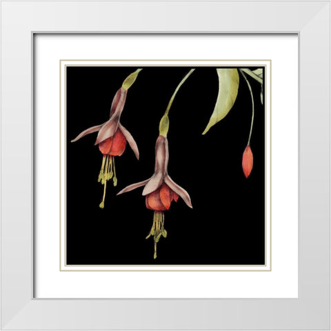 Graphic Fuchsia III White Modern Wood Framed Art Print with Double Matting by Goldberger, Jennifer