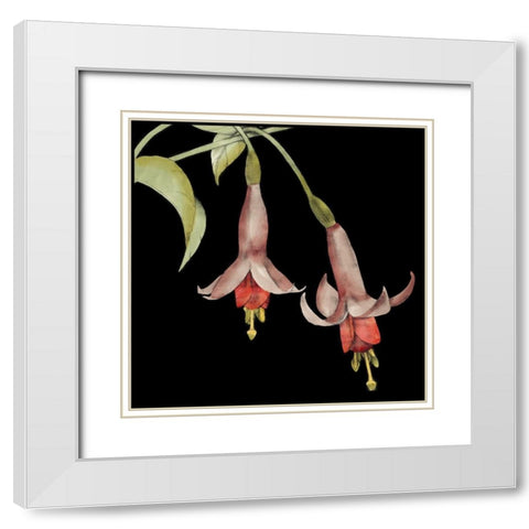 Graphic Fuchsia IV White Modern Wood Framed Art Print with Double Matting by Goldberger, Jennifer