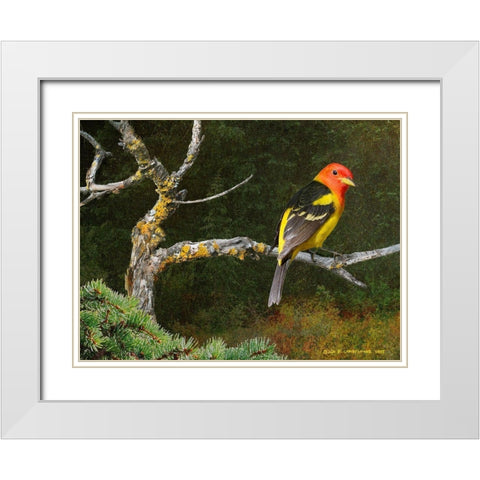 On the Branch I White Modern Wood Framed Art Print with Double Matting by Vest, Chris