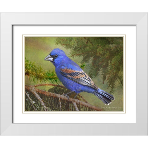 On the Branch II White Modern Wood Framed Art Print with Double Matting by Vest, Chris