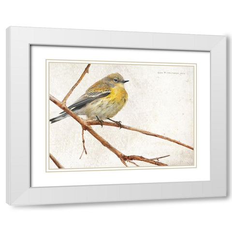 On the Branch III White Modern Wood Framed Art Print with Double Matting by Vest, Chris