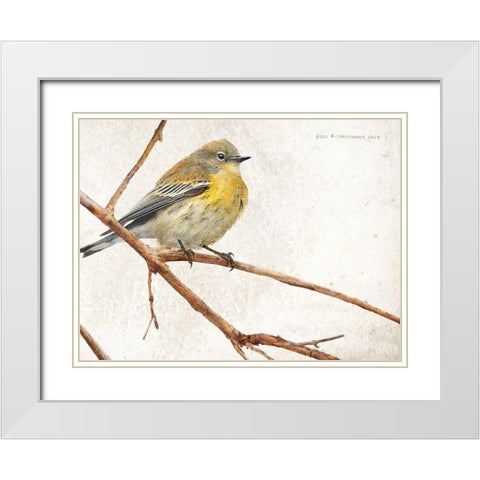 On the Branch III White Modern Wood Framed Art Print with Double Matting by Vest, Chris