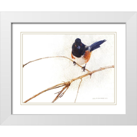 On the Branch IV White Modern Wood Framed Art Print with Double Matting by Vest, Chris