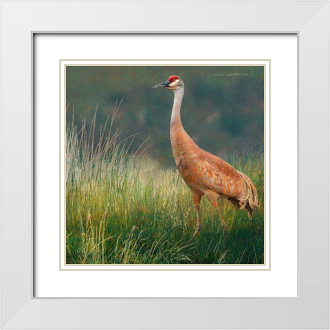 In the Water II White Modern Wood Framed Art Print with Double Matting by Vest, Chris