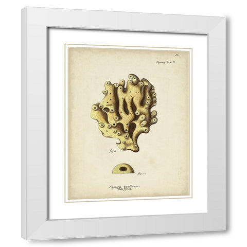 Ecru Coral X White Modern Wood Framed Art Print with Double Matting by Esper, Johann