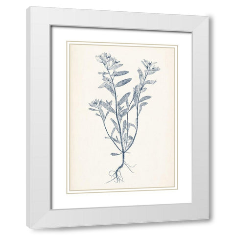 Navy Botanicals II White Modern Wood Framed Art Print with Double Matting by Vision Studio