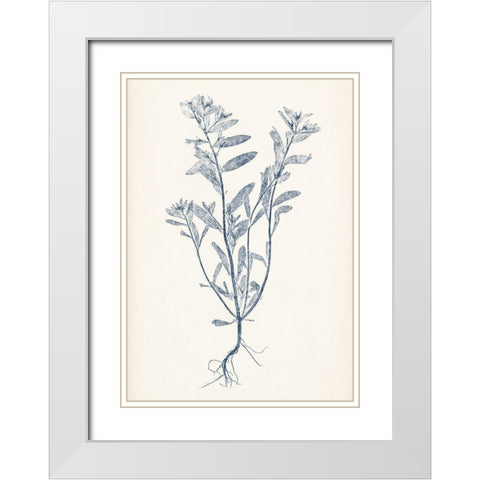 Navy Botanicals II White Modern Wood Framed Art Print with Double Matting by Vision Studio