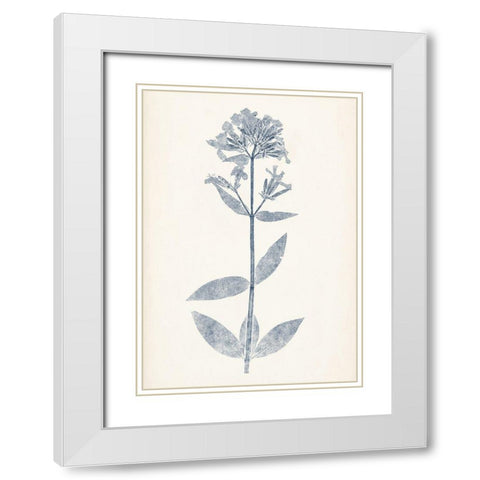 Navy Botanicals V White Modern Wood Framed Art Print with Double Matting by Vision Studio