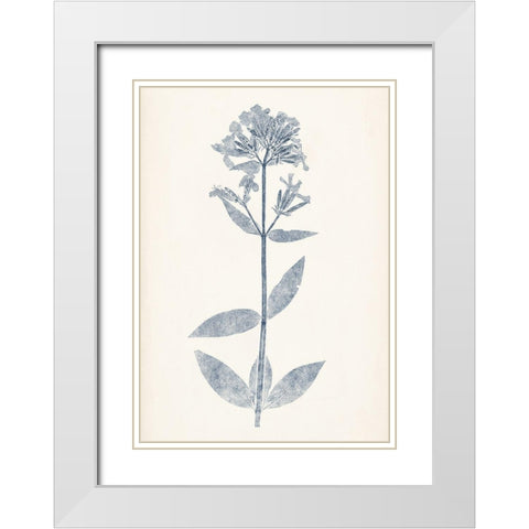 Navy Botanicals V White Modern Wood Framed Art Print with Double Matting by Vision Studio