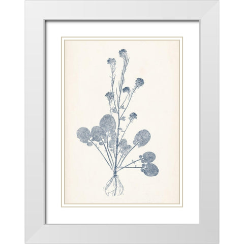 Navy Botanicals VIII White Modern Wood Framed Art Print with Double Matting by Vision Studio