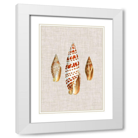 Antique Shells on Linen I White Modern Wood Framed Art Print with Double Matting by Vision Studio