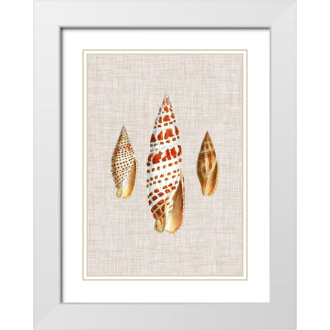 Antique Shells on Linen I White Modern Wood Framed Art Print with Double Matting by Vision Studio