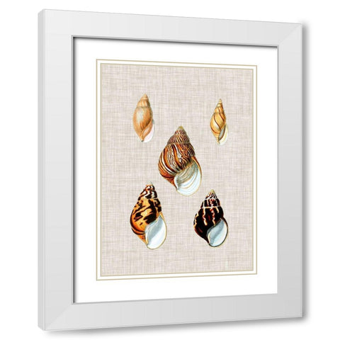 Antique Shells on Linen II White Modern Wood Framed Art Print with Double Matting by Vision Studio