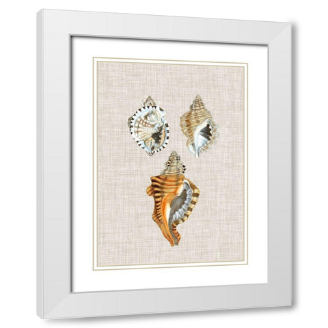 Antique Shells on Linen III White Modern Wood Framed Art Print with Double Matting by Vision Studio