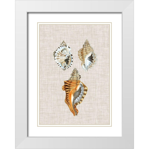 Antique Shells on Linen III White Modern Wood Framed Art Print with Double Matting by Vision Studio