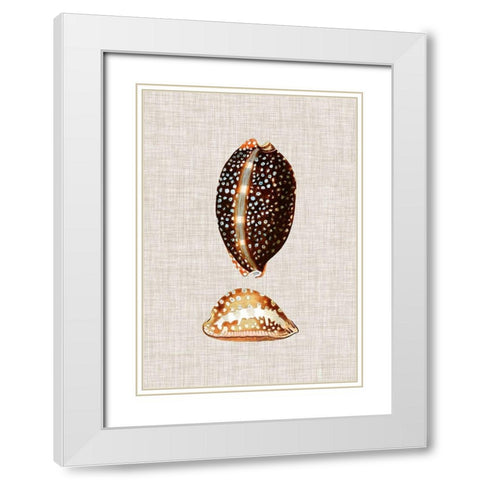 Antique Shells on Linen IV White Modern Wood Framed Art Print with Double Matting by Vision Studio
