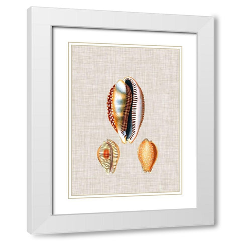 Antique Shells on Linen V White Modern Wood Framed Art Print with Double Matting by Vision Studio