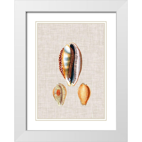 Antique Shells on Linen V White Modern Wood Framed Art Print with Double Matting by Vision Studio