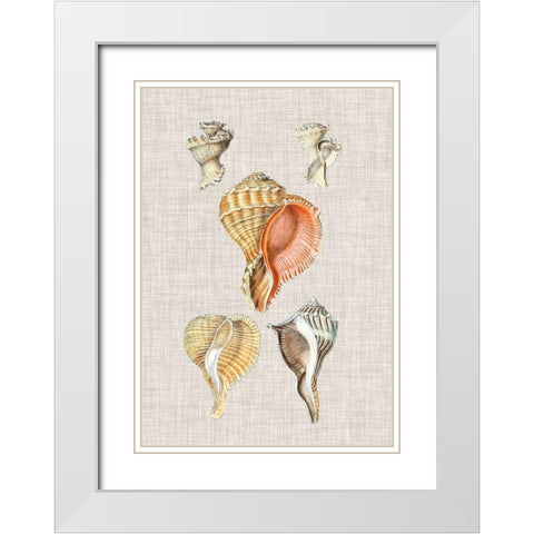 Antique Shells on Linen VI White Modern Wood Framed Art Print with Double Matting by Vision Studio